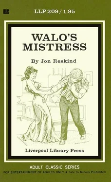 Jon Reskind Walo_s mistress обложка книги