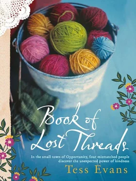 Tess Evans Book of Lost Threads обложка книги