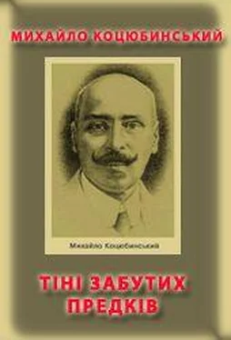 Михайло Коцюбинський Тіні забутих предків обложка книги