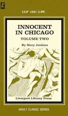 Mary Jenkins Innocent in Chicago Volume Two обложка книги