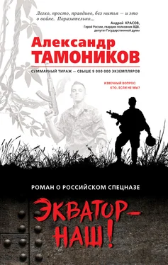 Александр Тамоников Экватор – наш! обложка книги