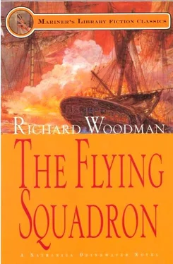 Ричард Вудмен The flying squadron обложка книги