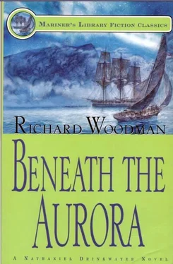 Ричард Вудмен Beneath the aurora