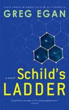 Грег Иган Schild’s Ladder обложка книги