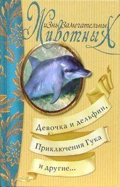 Тур Трункатов Приключения Гука обложка книги