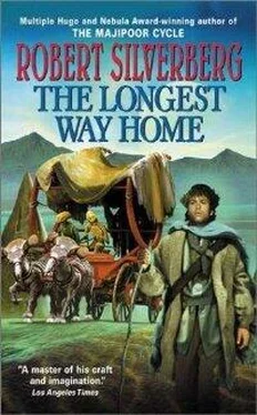 Robert Silverberg The Longest Way Home обложка книги