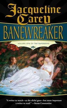 Жаклин Кэри Banewreaker обложка книги