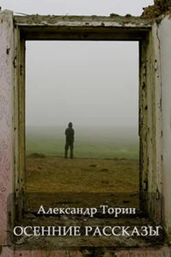 Александр Торин Осенние рассказы обложка книги