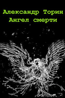 Александр Торин Ангел смерти обложка книги