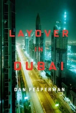 Dan Fesperman Layover in Dubai обложка книги