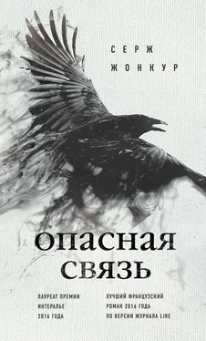 Серж Жонкур Опасная связь обложка книги