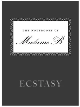 Madame B Ecstasy обложка книги