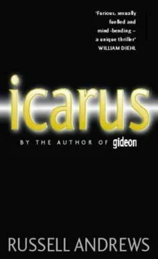 Russell Andrews Icarus обложка книги