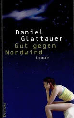 Даниэль Глаттауэр - Gut gegen Nordwind