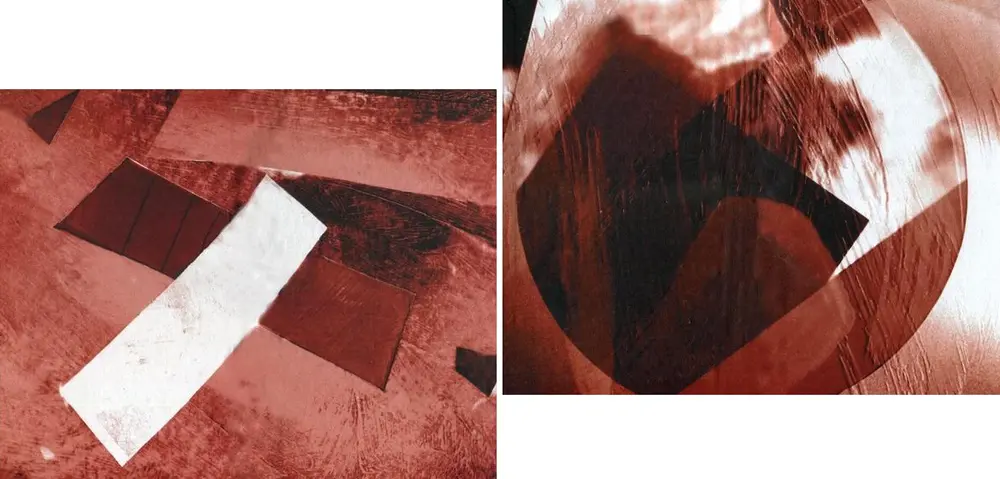 Примечания 1 Нанду американский страус 2 Сорсико баскский танец - фото 9