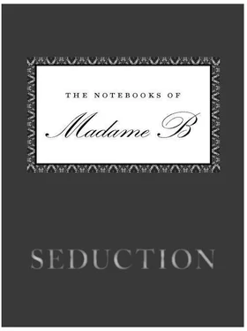 Madame B Seduction обложка книги