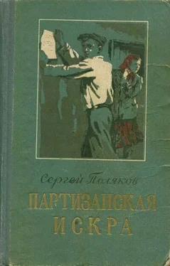 Сергей Поляков Партизанская искра обложка книги