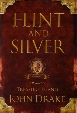 John Drake Flint and Silver обложка книги