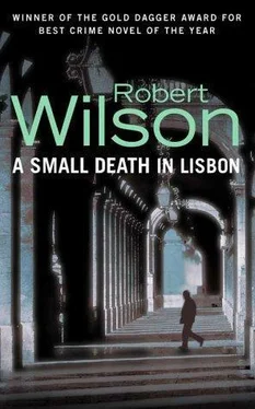 Robert Wilson A Small Death in Lisbon обложка книги