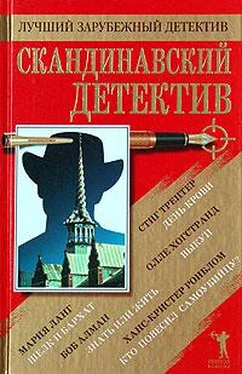 Мария Ланг Скандинавский детектив. Сборник обложка книги