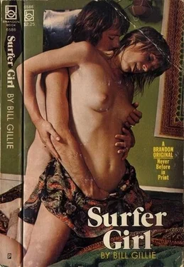 Bill Gillie Surfer girl обложка книги