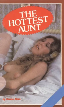 Donna Allen The hottest aunt обложка книги