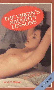 J Watson The virgin_s naughty lessons обложка книги