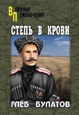 Глеб Булатов Степь в крови обложка книги