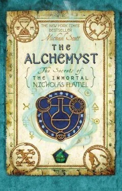 Michael Scott The Alchemyst обложка книги