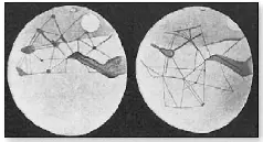 Лоуэлл считал что видит в свой телескоп огромные каналы Марса На основании - фото 5