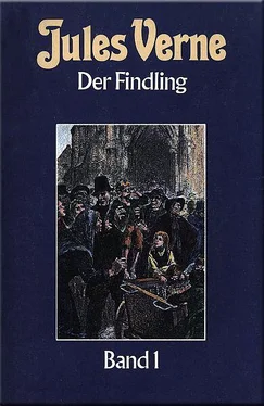 Жюль Верн Der Findling обложка книги