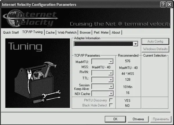 Рис 19 Вкладка TCPIP Tuning TweakMASTER TweakMASTER - фото 9
