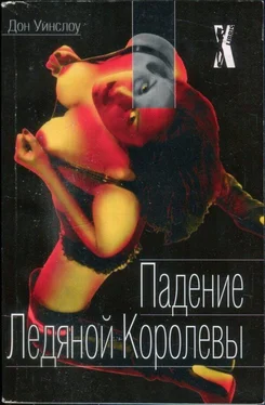 Дон Уинслоу Падение Ледяной Королевы обложка книги