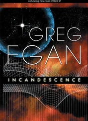 Greg Egan - Incandescence