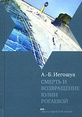 Авраам Бен Иегошуа Смерть и возвращение Юлии Рогаевой обложка книги