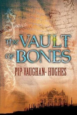 Pip Vaughan-Hughes The Vault of bones обложка книги