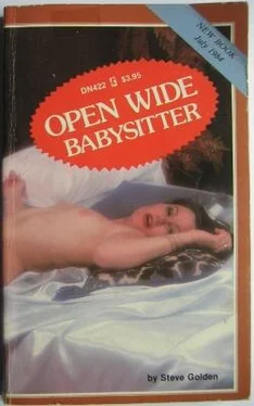 Steve Golden Open wide babysitter обложка книги