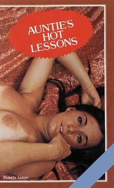 Pamela James Auntie_s hot lessons обложка книги