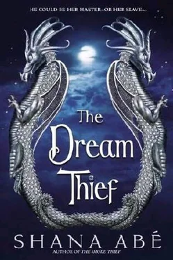 Shana Abé The Dream Thief обложка книги