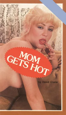 David Crane Mom gets hot обложка книги