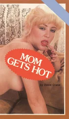 David Crane - Mom gets hot