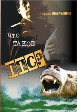 Василий Добрынин Что такое ППС? (Хроника смутного времени) обложка книги