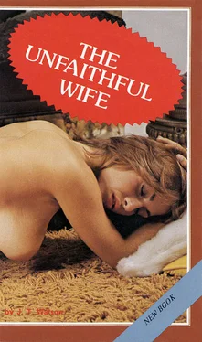 J Watson The unfaithful wife обложка книги