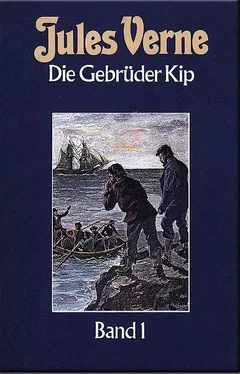 Жюль Верн Die Gebrüder Kip обложка книги