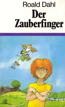 Roald Dahl Der Zauberfinger обложка книги