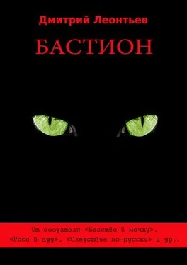 Дмитрий Леонтьев Бастион обложка книги