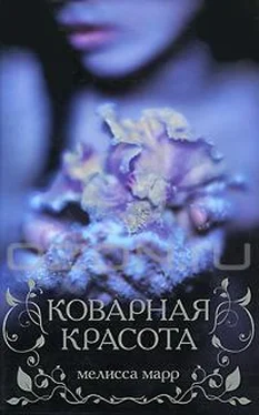 Мелисса Марр Коварная красота обложка книги