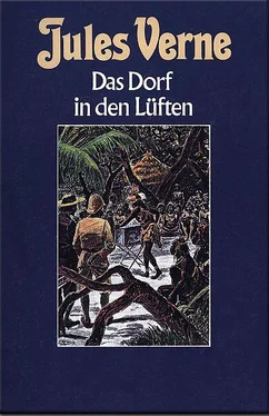 Jules Verne Das Dorf in den Lüften обложка книги