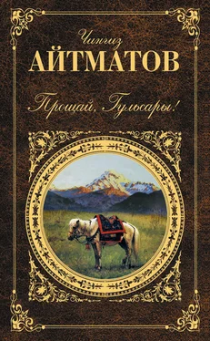 Чингиз Айтматов Прощай, Гульсары! [сборник] обложка книги