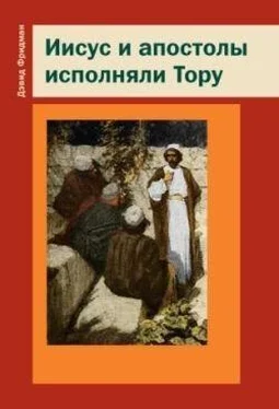 Дэвид Фридман Иисус и апостолы исполняли Тору обложка книги